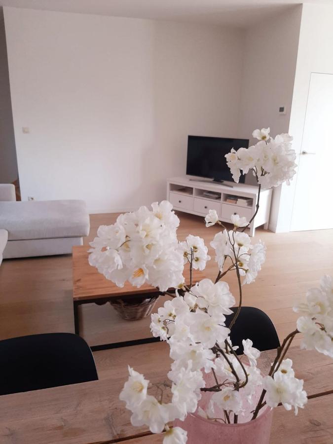Luxe Duplex Appartement Mavi Gistel Bagian luar foto